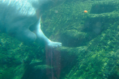 DSC_6270.JPG