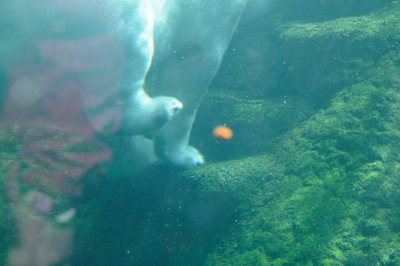 DSC_6271.JPG