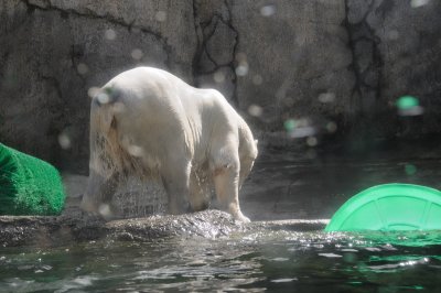 DSC_6272.JPG
