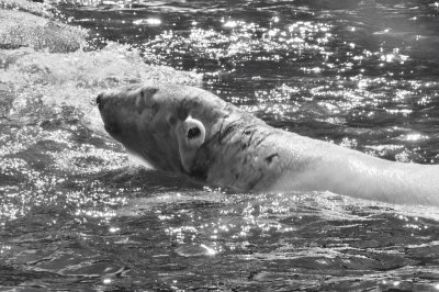 DSC_6273.JPG