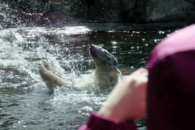 DSC_6277.JPG