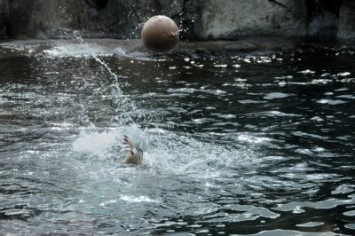 DSC_6280.JPG