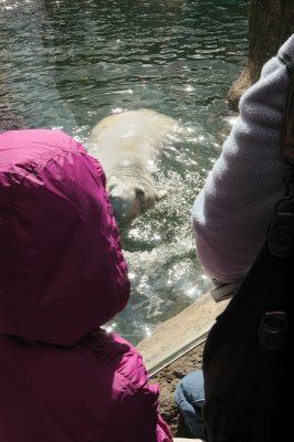 DSC_6287.JPG