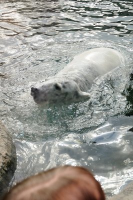 DSC_6293.JPG
