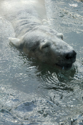 DSC_6296.JPG