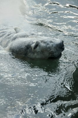 DSC_6297.JPG