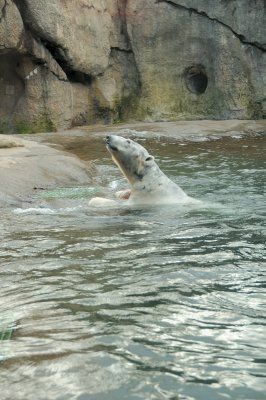 DSC_6303.JPG