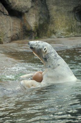 DSC_6304.JPG