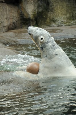 DSC_6305.JPG
