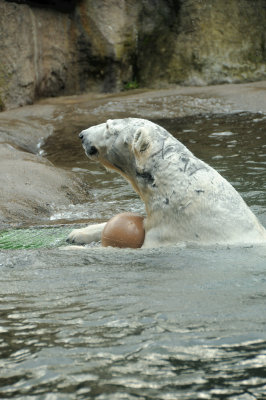 DSC_6306.JPG