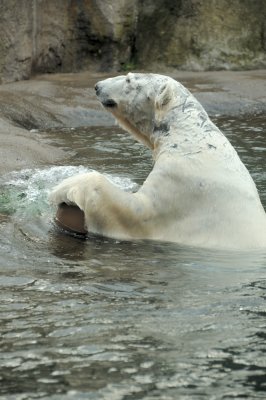 DSC_6309.JPG