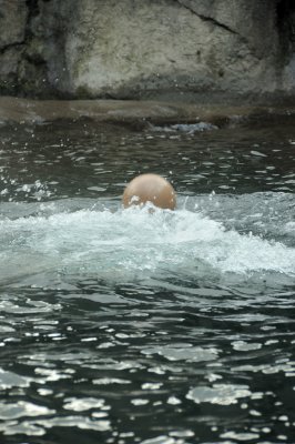 DSC_6312.JPG