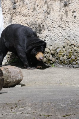 DSC_6318.JPG