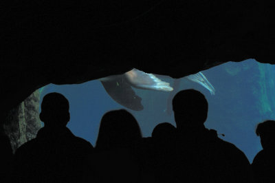 DSC_6325.JPG