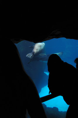 DSC_6328.JPG