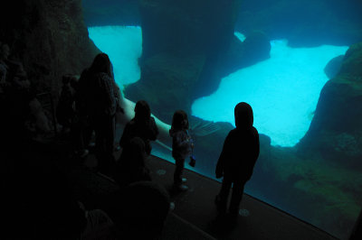 DSC_6329.JPG