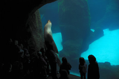 DSC_6330.JPG