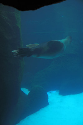 DSC_6331.JPG