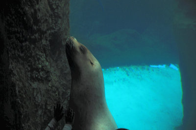 DSC_6333.JPG