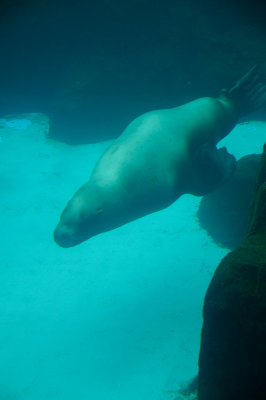 DSC_6334.JPG