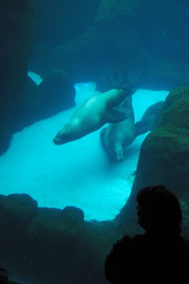 DSC_6337.JPG