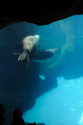 DSC_6341.JPG