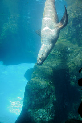 DSC_6343.JPG