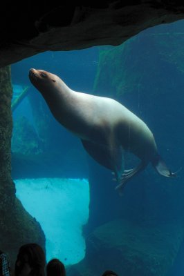 DSC_6344.JPG