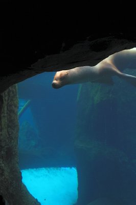 DSC_6345.JPG