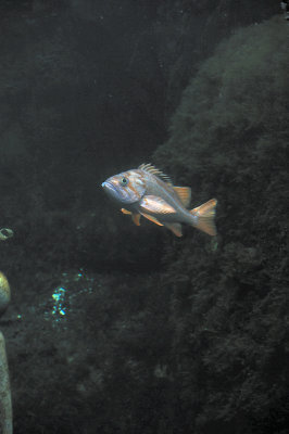 DSC_6346.JPG