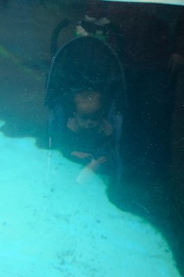DSC_6347.JPG