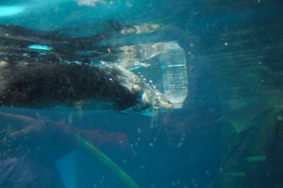 DSC_6349.JPG