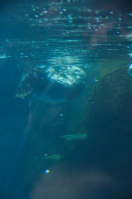 DSC_6355.JPG
