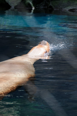DSC_6356.JPG