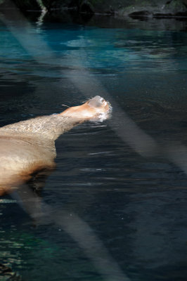 DSC_6357.JPG