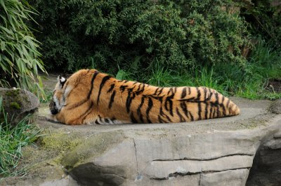 DSC_6360.JPG