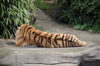 DSC_6363.JPG
