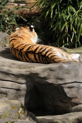 DSC_6364.JPG