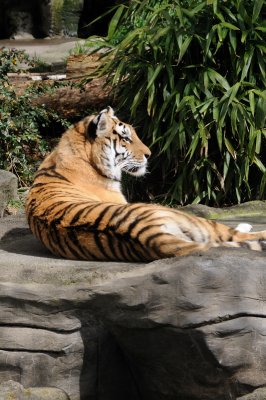 DSC_6367.JPG