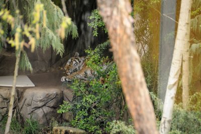 DSC_6370.JPG