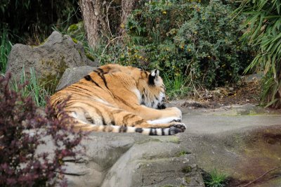 DSC_6371.JPG