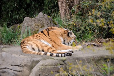 DSC_6372.JPG