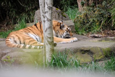 DSC_6373.JPG
