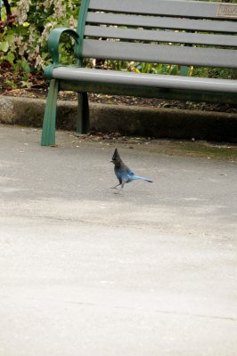 DSC_6381.JPG