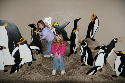 DSC_6384.JPG