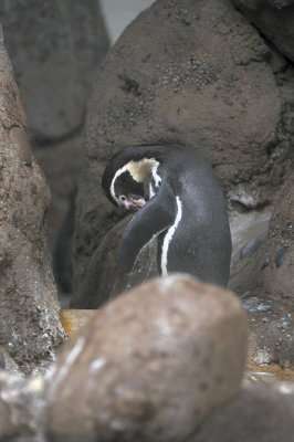 DSC_6388.JPG