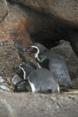 DSC_6392.JPG