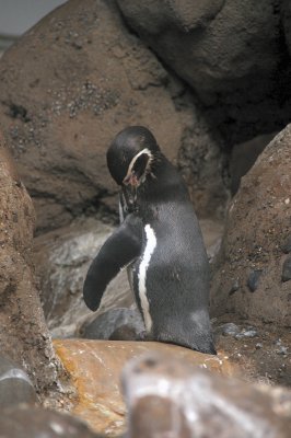 DSC_6395.JPG