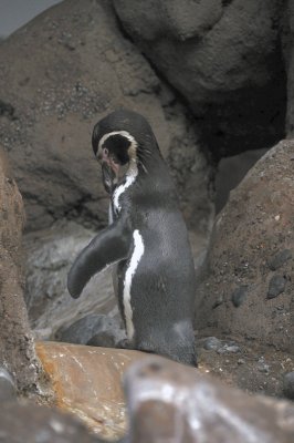DSC_6396.JPG