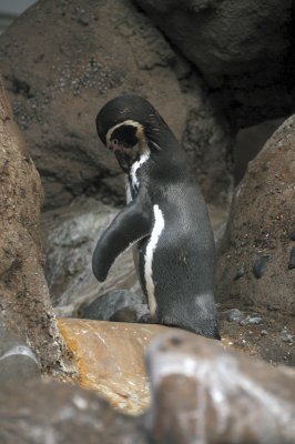 DSC_6397.JPG